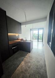 Hyll On Holland (D10), Condominium #462074051